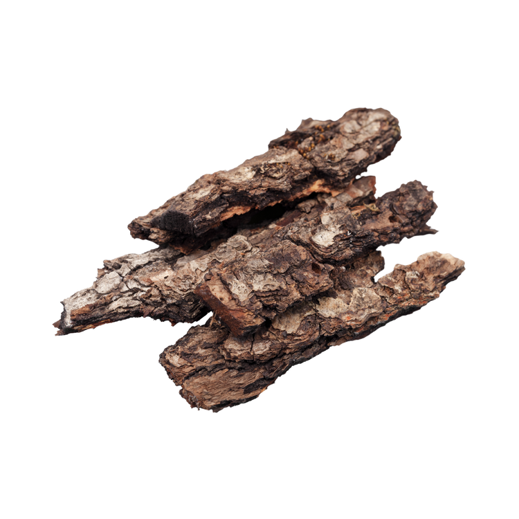 Oudh