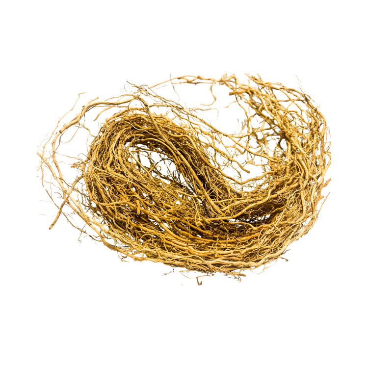 Vetiver