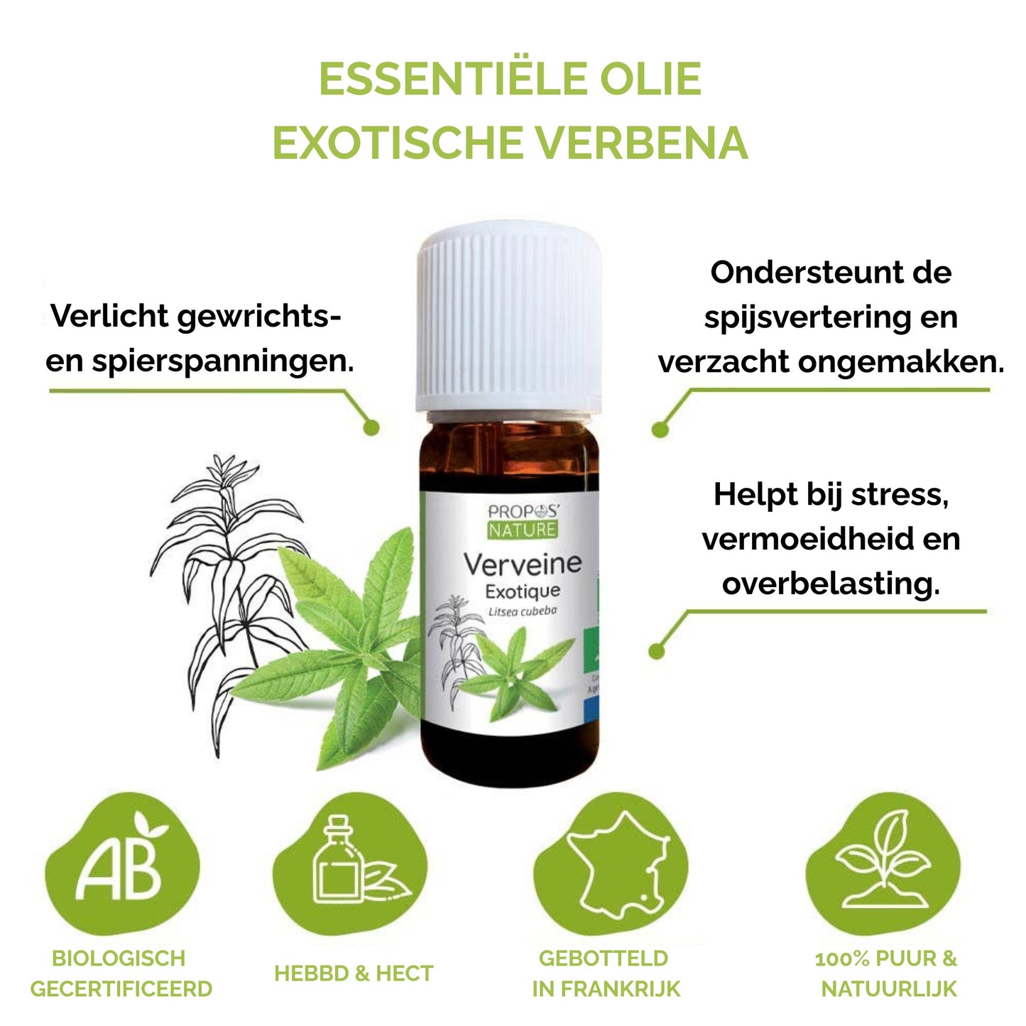 propos'nature exotische verbena olie werking info