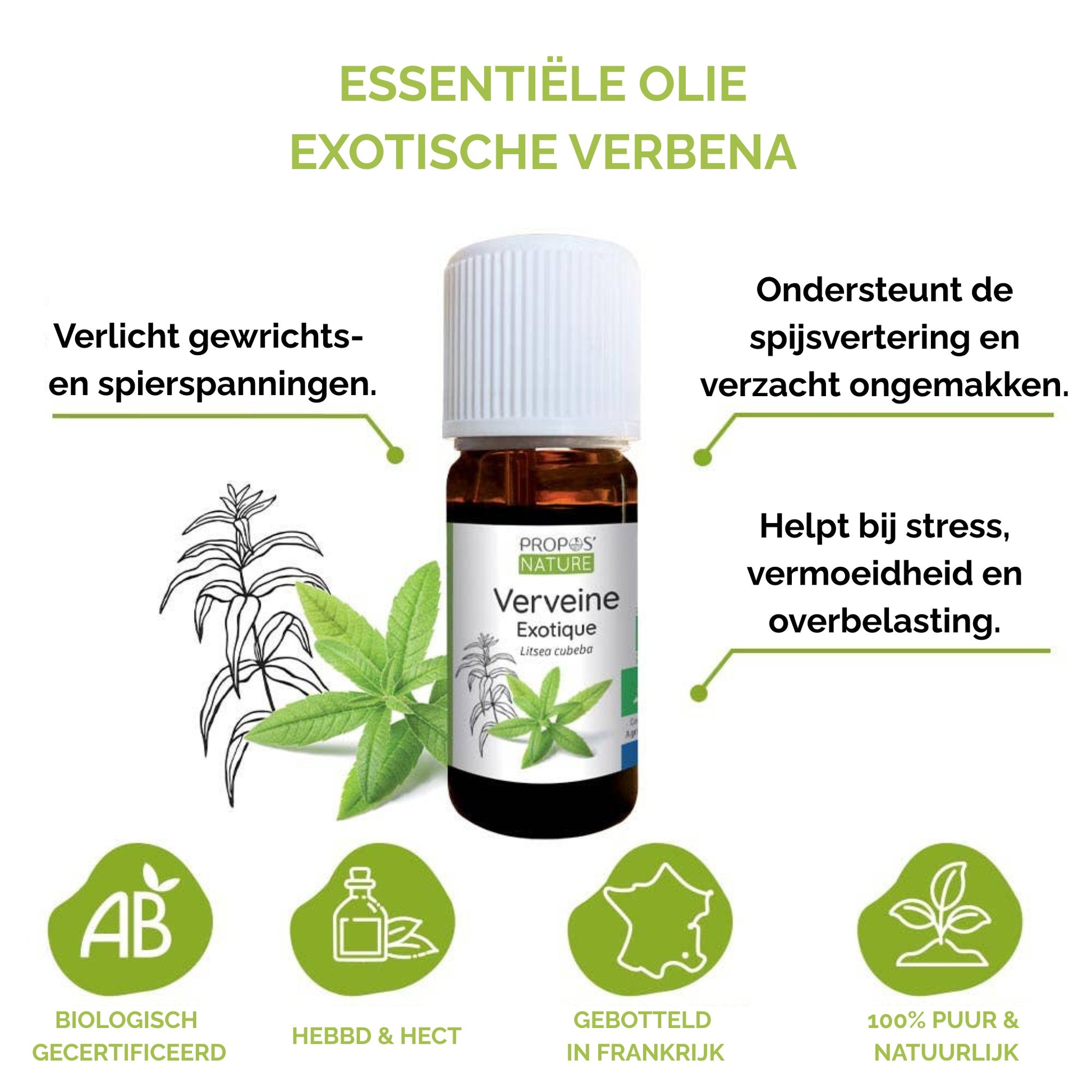 propos'nature exotische verbena olie werking info
