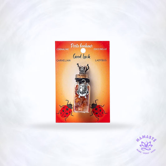 Geschenkflesje met carneool en lieveheersbeestje – energiek sieraad dat levenslust, bescherming en creatieve inspiratie brengt.