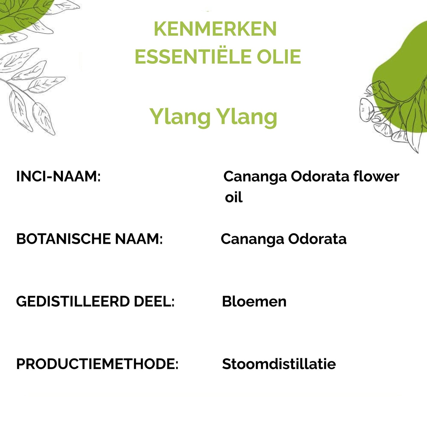 propos'nature ylang ylang olie info