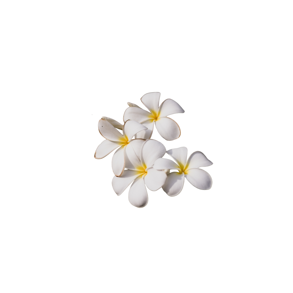 nag champa bloemetjes 