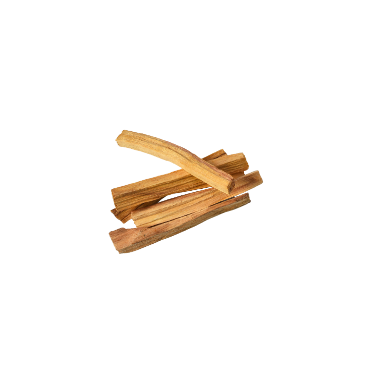 gedroogde houten Palo Santo stokjes