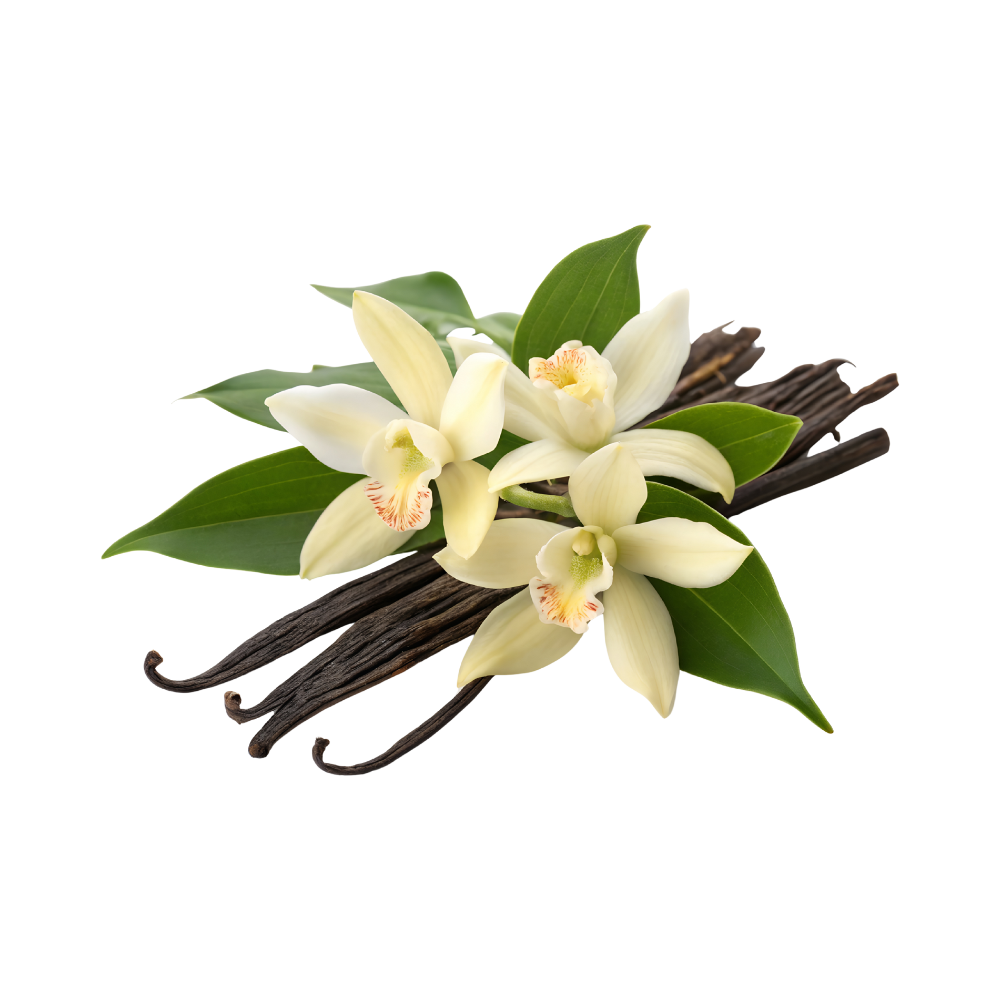 Vanille stokjes en bloemetjes