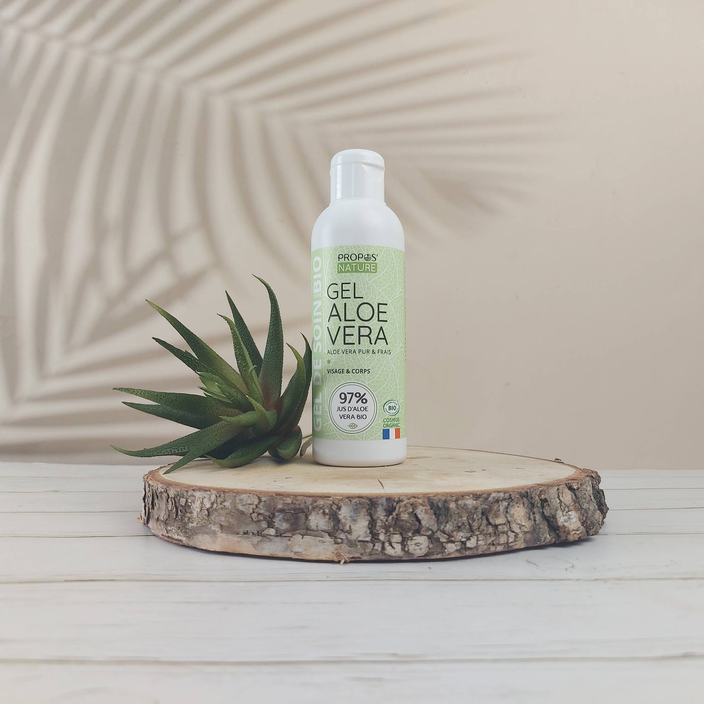 flesje aloe vera gel van propos' nature op een houtschijf met plantje