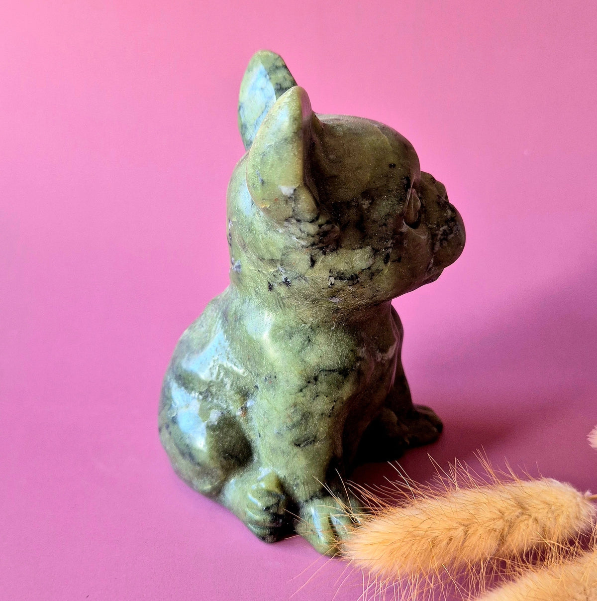 groene jade bulldog zijaanzicht rechts