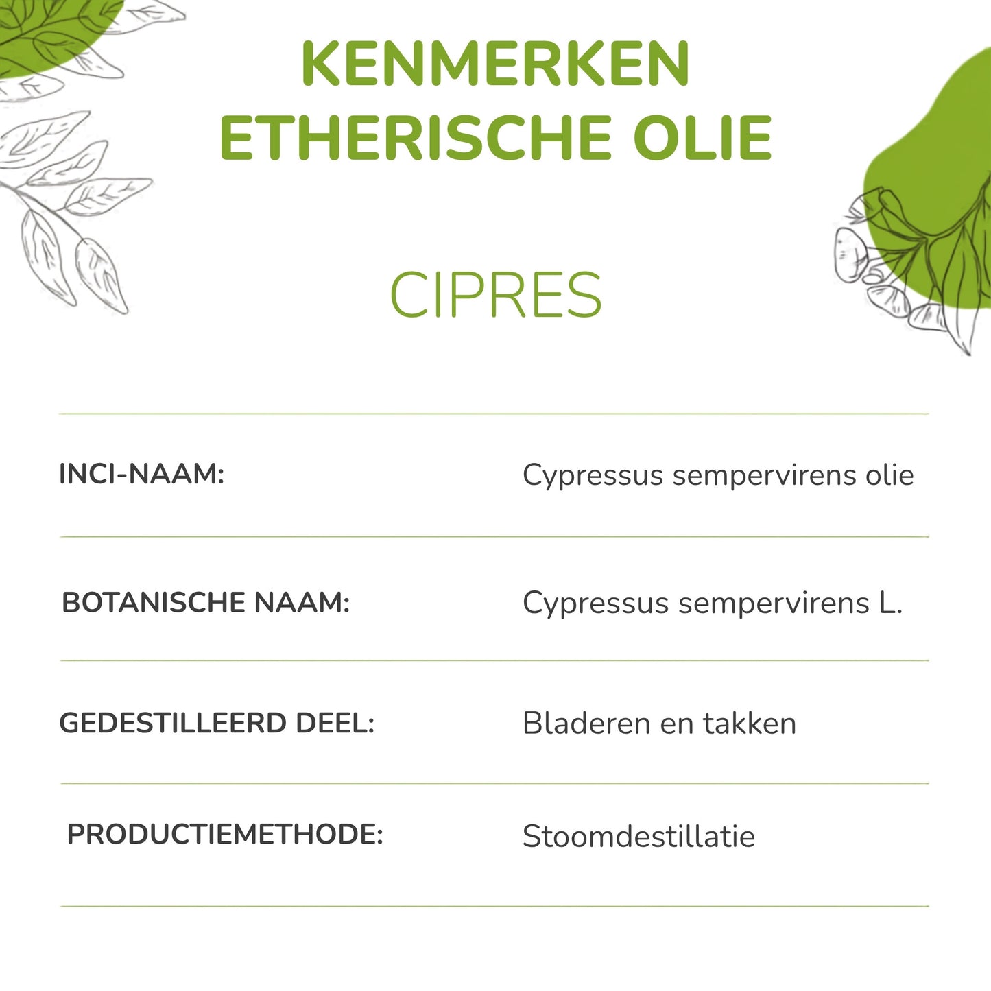 info cipres olie van Propos' Nature