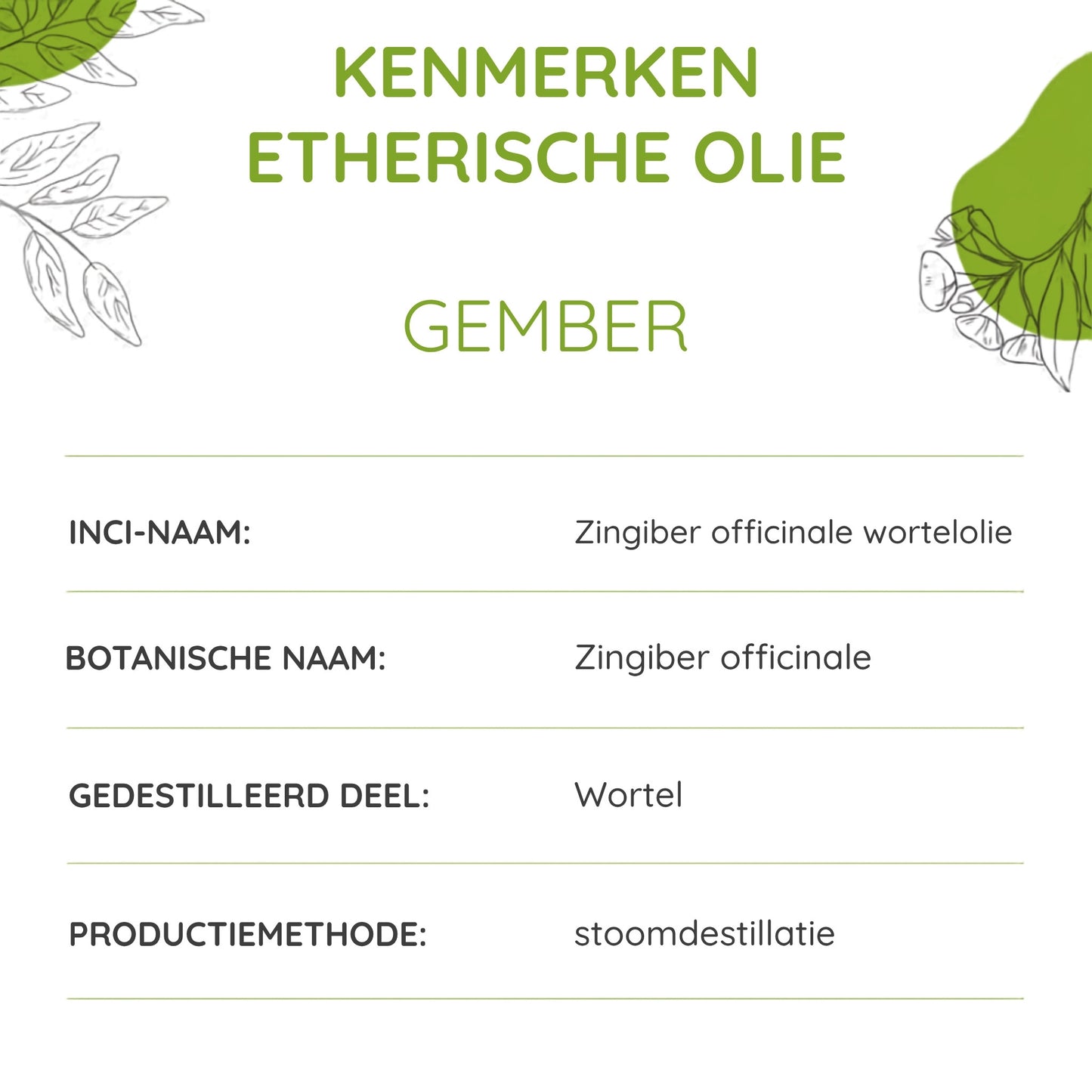 info van de gemberolie van Propos' Nature