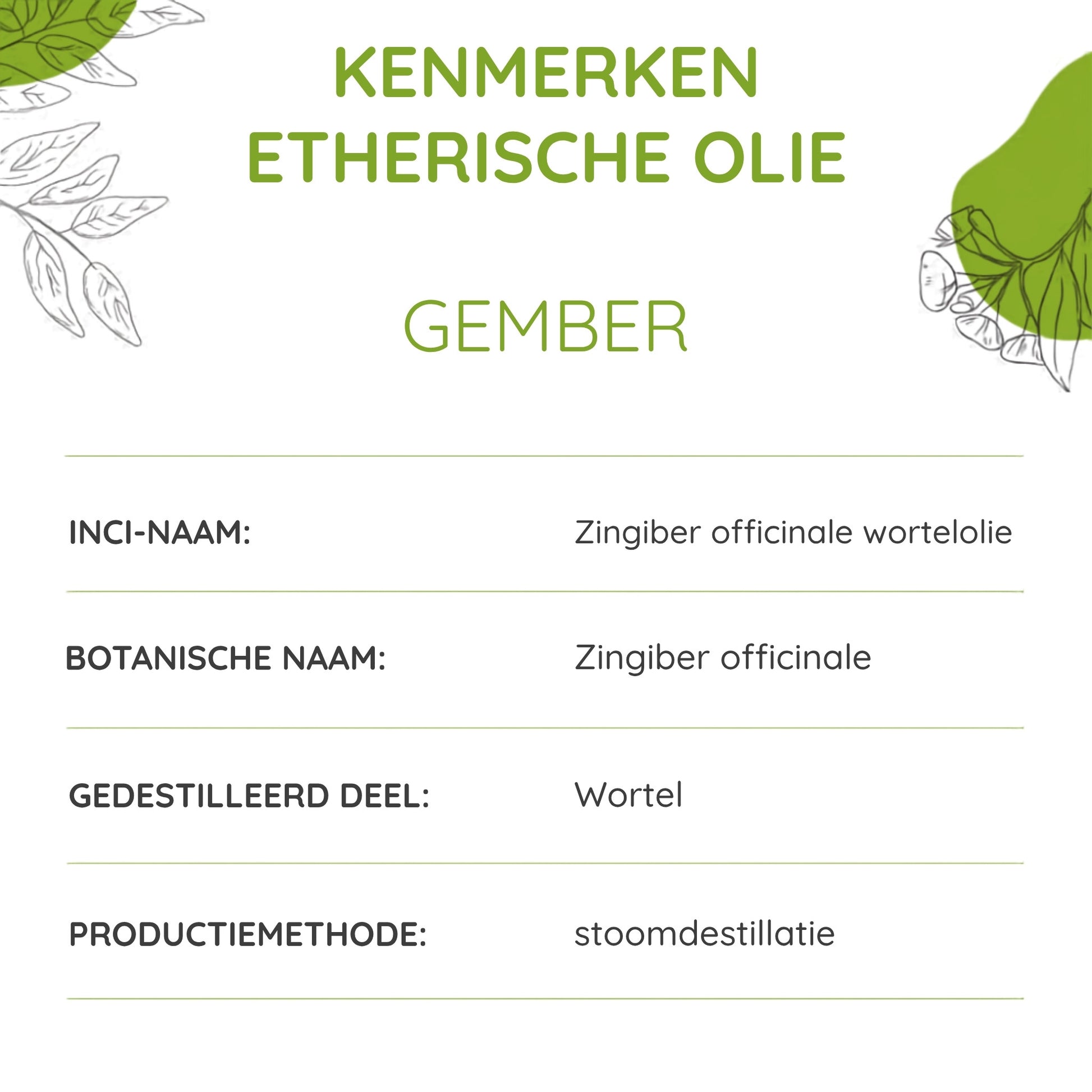 info van de gemberolie van Propos' Nature