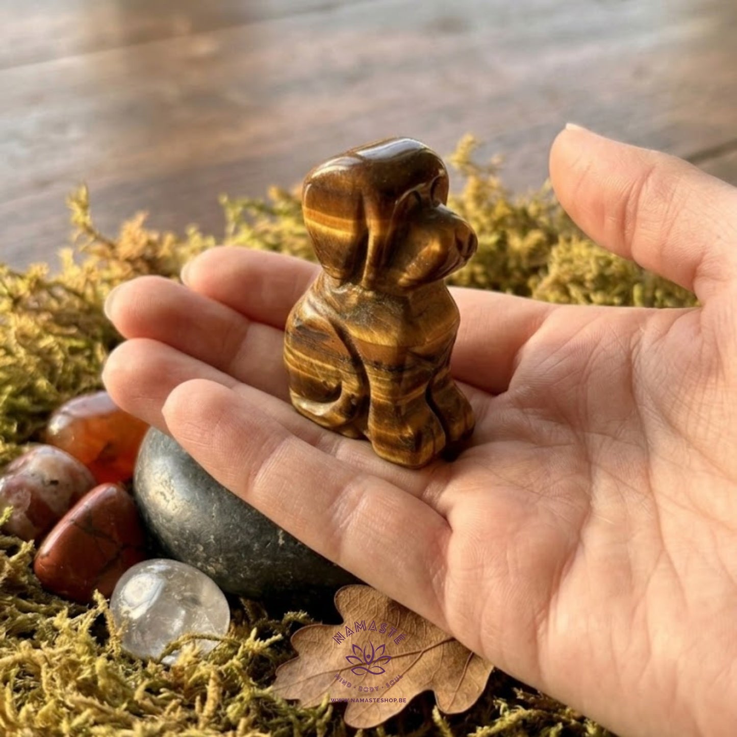 hondje in tijgeroog op de hand die rust op een kei liggend op een bedje van mos met trommelstenen