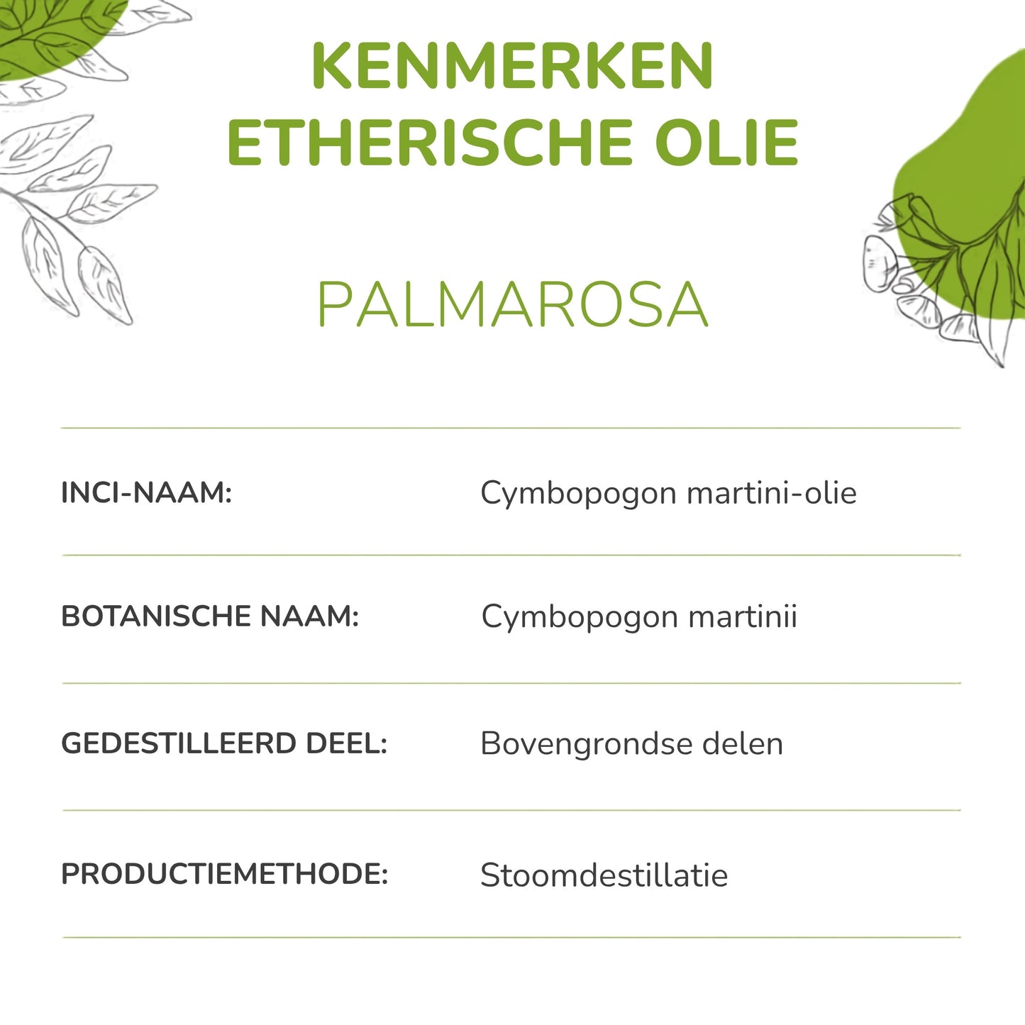 Biologische Palmarosa Etherische Olie | 100% Puur & Natuurlijk (10ml)